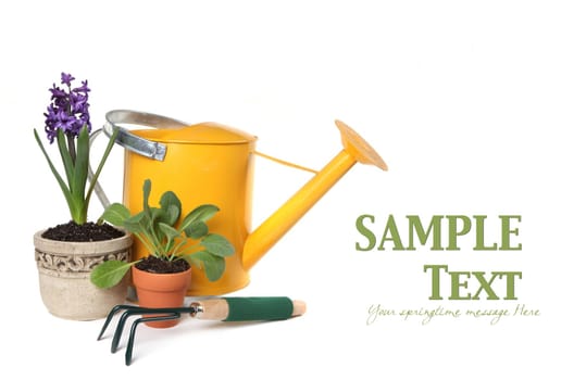 Spring Time Gardening With Watering Can, Trowel and Plantings on White Background With Copyspace for Your Text