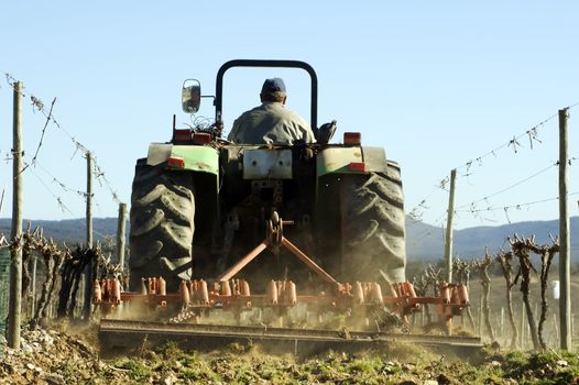 Farmer using a tractor ploughing a vineyard, back view.