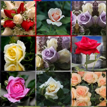 Beautiful flower collage made from nine photos