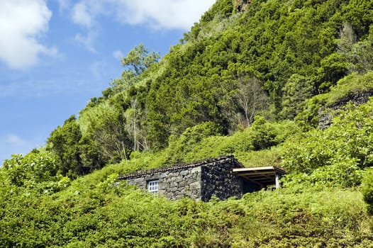 Stone house hidden in the middle of the forest