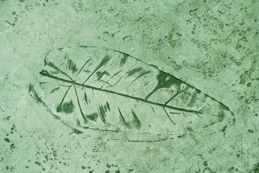 Leaf impression in a cement green sidewalk