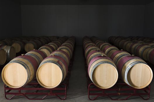 Oak wine barrels in a modern winery, Alentejo, Portugal