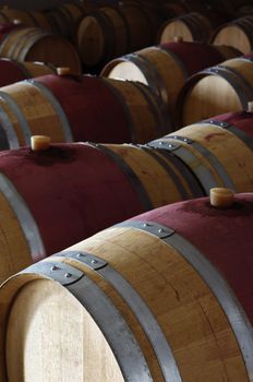 Oak wine barrels in a modern winery, Alentejo, Portugal