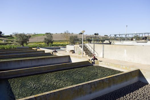 Small rural wastewater sanitation plant with sedimentation tanks