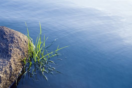 Stones and grass blades emerging from a beautiful smooth water surface 