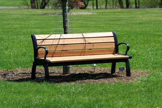 A Wooden bench in the park