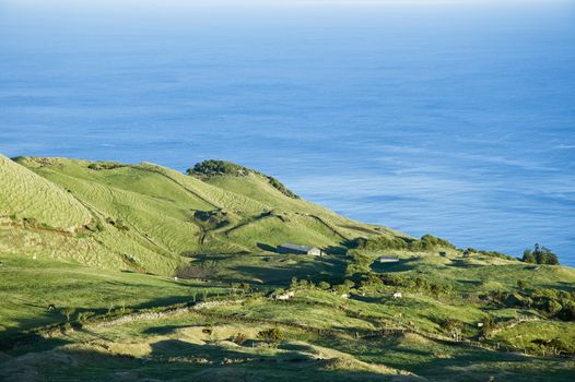 Idyllic green pasture landscape of Pico island, Azores, Portugal
