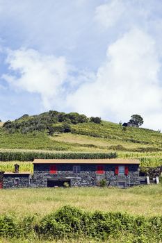 Beautiful farmhouse in a green landscape of Pico island, Azores, Portugal
