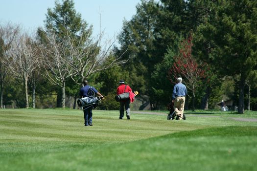 Three golfers walking down the fairway