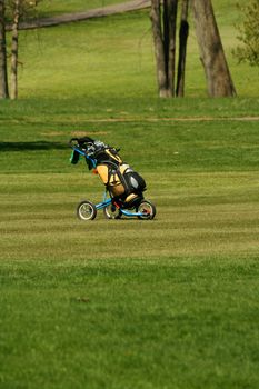 A Golf bag on the fairway of a course