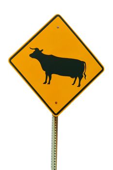 A Isolated cattle crossing sign on white background