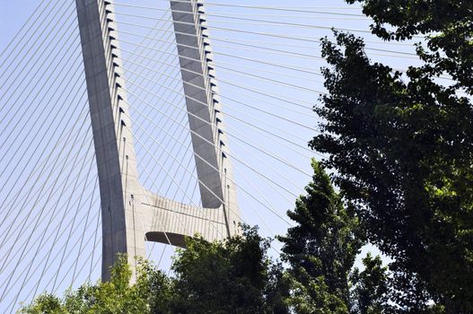 Vasco da Gama suspension bridge behind the trees