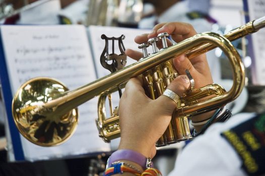 Brass band musician playing a trumpet
