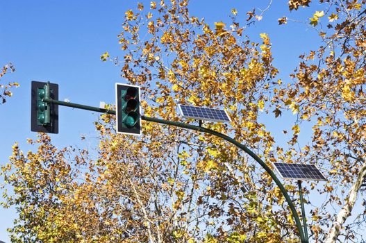 Solar powered traffic lights in a sunny day
