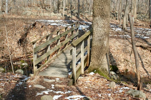 A Wooden bridge over a stream in the woods