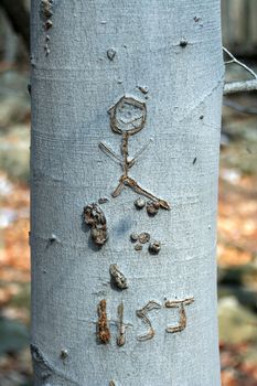 A Human stick figure carved in a tree