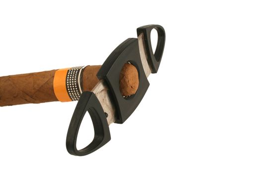A Isolated cigar with cutter on white