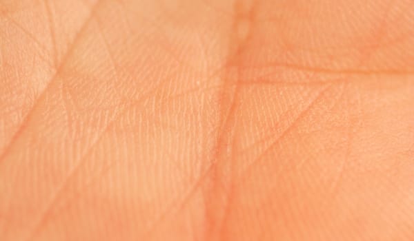 A Human palm macro with lines