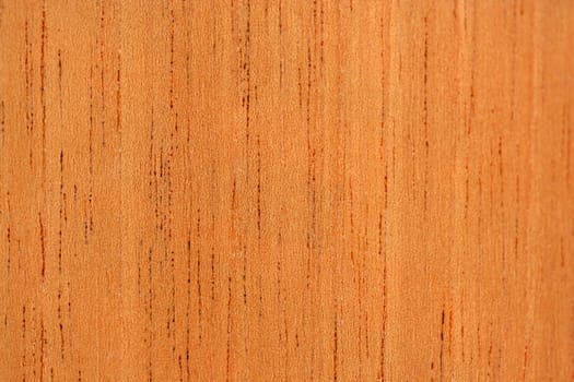 A Cedar macro texture abstract background