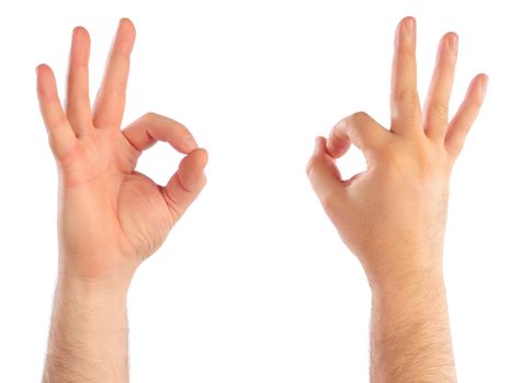 Male hands counting