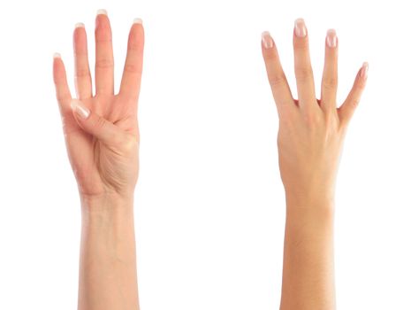 Female hands counting number 4