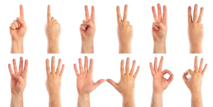 Male hands counting