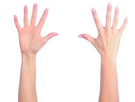 Female hands counting number 5