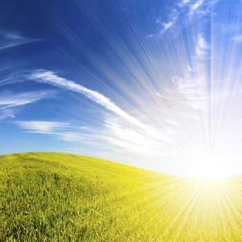 beautifull landscape with green grass and blue sky