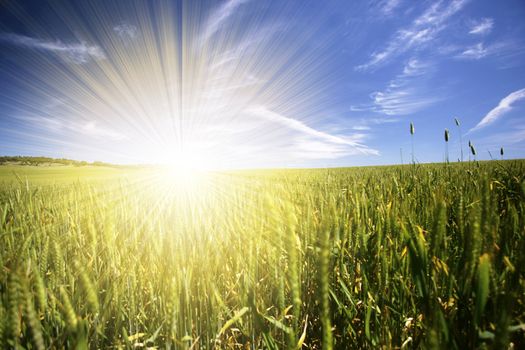 beautiful spring landscape with blue sky and sunrays