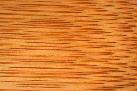 Bamboo Background Texture