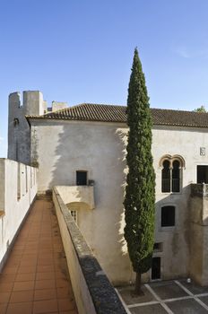 Patio of the medieval castle of Alvito, Alentejo, Portugal
