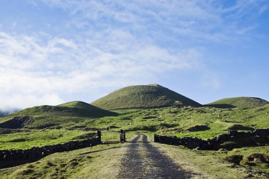 Rural road across the green pasture fields in Pico island, Azores
