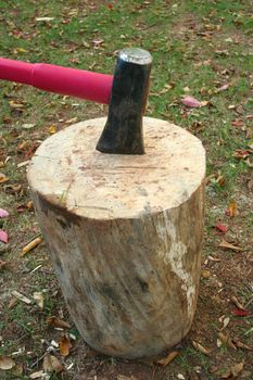A Wood splitting ax in a log