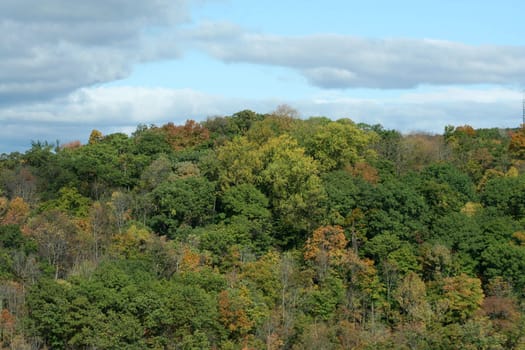 A mountain with changing leaves and sky