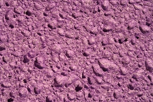 close up of a purple sponge