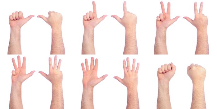 Different male hands counting