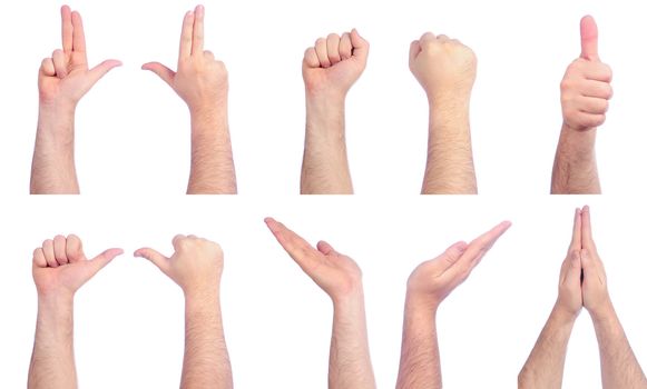 Different male hands counting