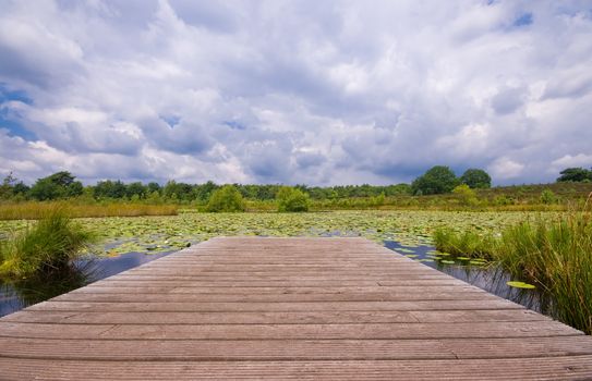 wooden pier on a lily pond with very dark rain clouds in the sky
