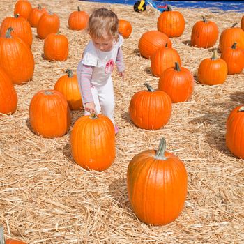 Cute little European toddler girl having fun on pumpkin patch.
