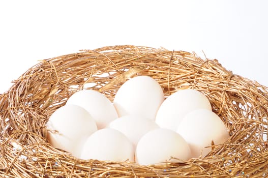 white eggs in golden nest