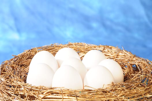 white eggs in golden nest