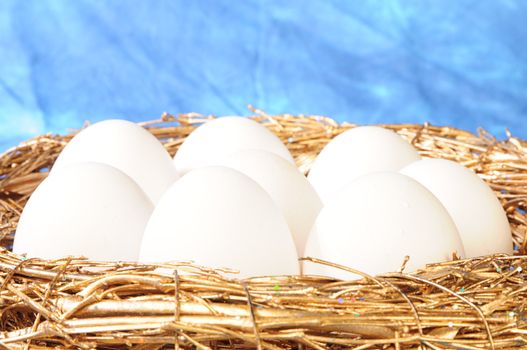 white eggs in golden nest