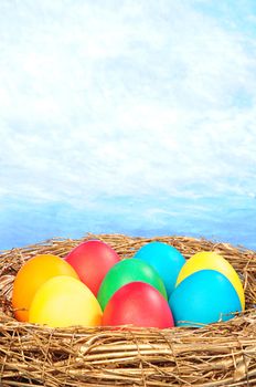 color eggs in a golden nest on blue sky background