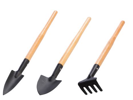 equipment for the care of houseplants. Two shovels and rakes