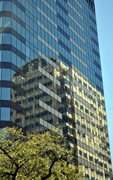 Austin Building Reflection