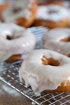 Doughnuts with still dripping icing freshly baked