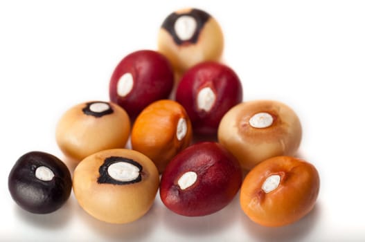 Close-up of jugo beans arranged in a triangle on a white background