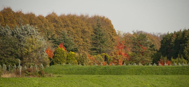 Colors of Fall in Lucca, Tuscany