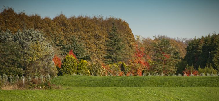 Colors of Fall in Lucca, Tuscany