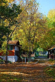 Beautiful colors of autumn trees in the small village